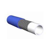 19x31mm